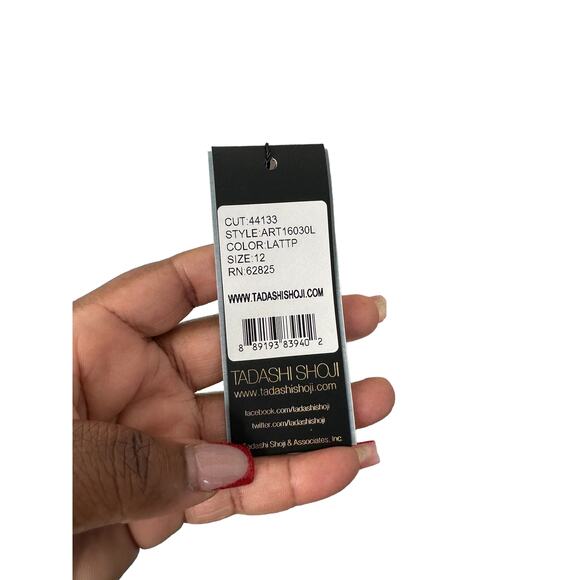 Tadashi Shoji Dress Ivory Latte Pumice Lace Tulle Nomi Formal Evening Size 12 - Picture 5 of 14